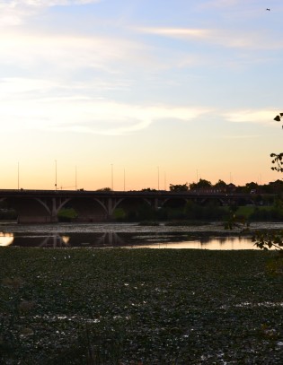 " Mucho puente para tan poca agua "