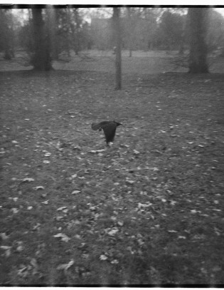 Un segundo antes del invierno