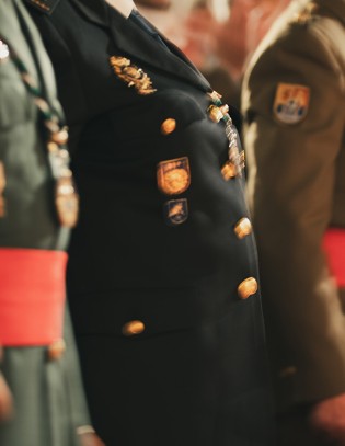 Cuerpos y fuerzas del Estado