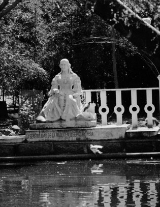 Romanticismo entre los jardines