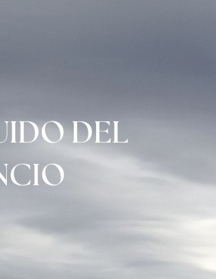 El ruido del silencio