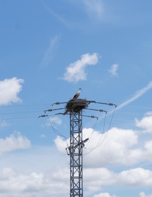 El alquiler por las nubes
