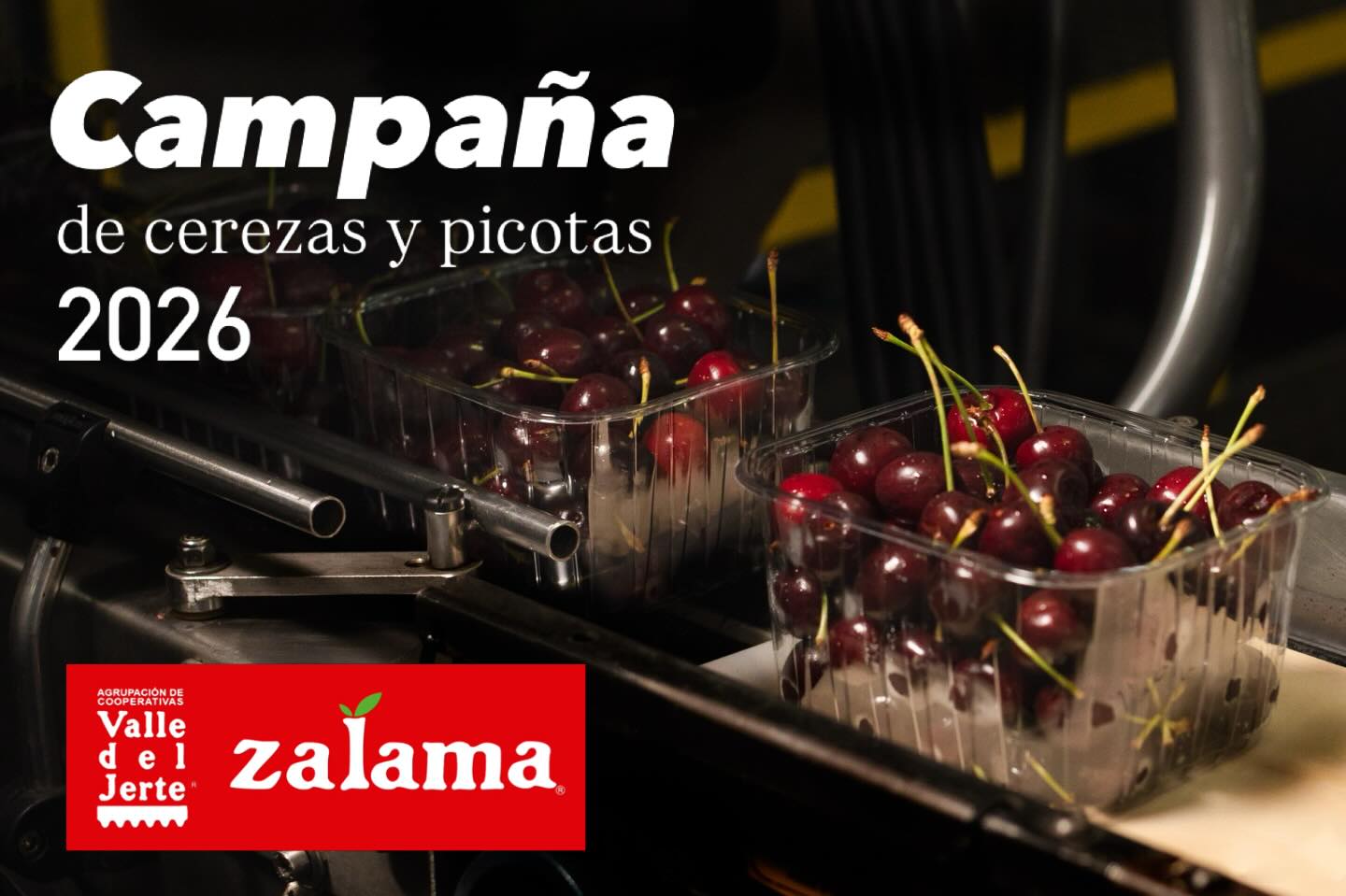 CAMPA&Ntilde;AS CEREZA JERTE 2026